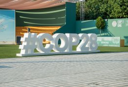 Cop28