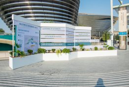 Cop28