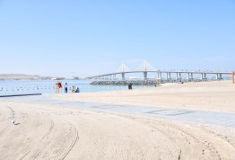 Cleaning Beaches Campaign 