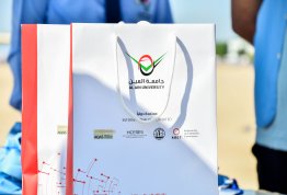Cleaning Beaches Campaign 