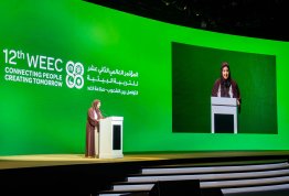 WEEC 2024